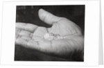 Close up of Hand Holding Diamonds by Anonymous