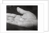 Close up of Hand Holding Diamonds by Anonymous