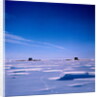 Submarines Submerged at North Pole by Anonymous