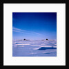 Submarines Submerged at North Pole by Anonymous