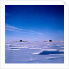 Submarines Submerged at North Pole by Anonymous