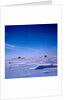 Submarines Submerged at North Pole by Anonymous