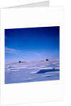 Submarines Submerged at North Pole by Anonymous