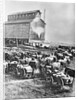Farmers at Steam Operated Grain Elevator by Anonymous