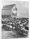 Farmers at Steam Operated Grain Elevator by Anonymous