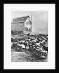 Farmers at Steam Operated Grain Elevator by Anonymous