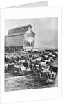 Farmers at Steam Operated Grain Elevator by Anonymous