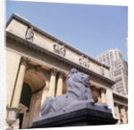 New York Public Library by Anonymous