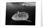 Aerial View of Liberty Island by Anonymous