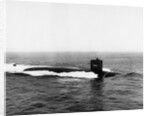 Thresher's Remains Located by Anonymous