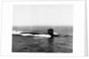 Thresher's Remains Located by Anonymous