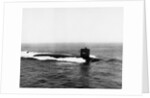 Thresher's Remains Located by Anonymous