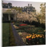 White House Rose Garden by Anonymous