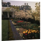 White House Rose Garden by Anonymous