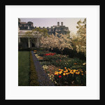 White House Rose Garden by Anonymous