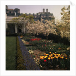 White House Rose Garden by Anonymous