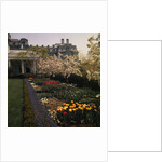 White House Rose Garden by Anonymous