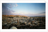 City of Jerusalem by Anonymous