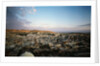 City of Jerusalem by Anonymous