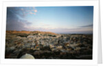 City of Jerusalem by Anonymous