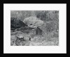 Exterior View of a Shanty by Anonymous