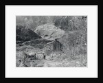 Exterior View of a Shanty by Anonymous