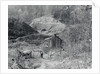 Exterior View of a Shanty by Anonymous