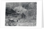 Exterior View of a Shanty by Anonymous