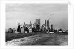 New York Skyline by Anonymous