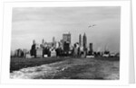 New York Skyline by Anonymous