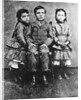 Warren Harrding at Six Years Old by Anonymous