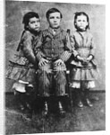 Warren Harrding at Six Years Old by Anonymous