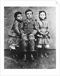 Warren Harrding at Six Years Old by Anonymous