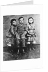 Warren Harrding at Six Years Old by Anonymous
