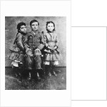 Warren Harrding at Six Years Old by Anonymous
