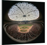 Houston Domed Stadium by Anonymous
