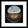 Houston Domed Stadium by Anonymous