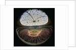 Houston Domed Stadium by Anonymous