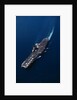 Aircraft Carrier by Anonymous