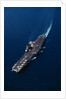 Aircraft Carrier by Anonymous