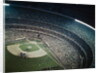 Shea Stadium by Anonymous