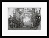 Steel Skeleton of Madison Square Garden by Anonymous