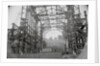Steel Skeleton of Madison Square Garden by Anonymous