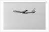 President Johnson Traveling by Air Force in Flight by Anonymous
