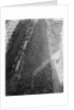 Crowd at Time Square for 1921 World Series by Anonymous
