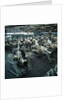 View of Factory Producing F-4 Phantom Jet Planes by Anonymous