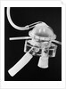 Artificial Heart by Anonymous