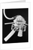 Artificial Heart by Anonymous
