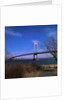 View of Verrazano Narrows Bridge by Anonymous