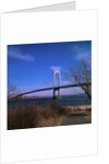 View of Verrazano Narrows Bridge by Anonymous